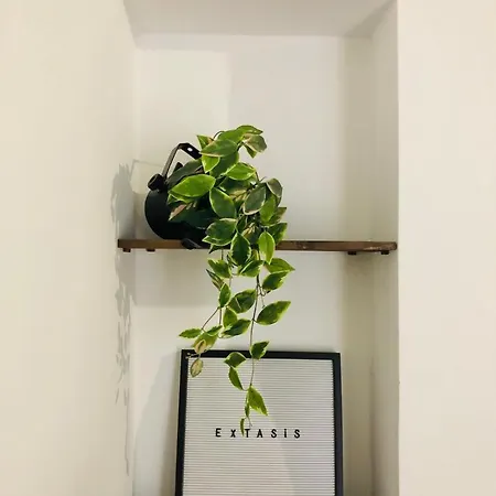 Nomad Gran Canaria Apartmán *